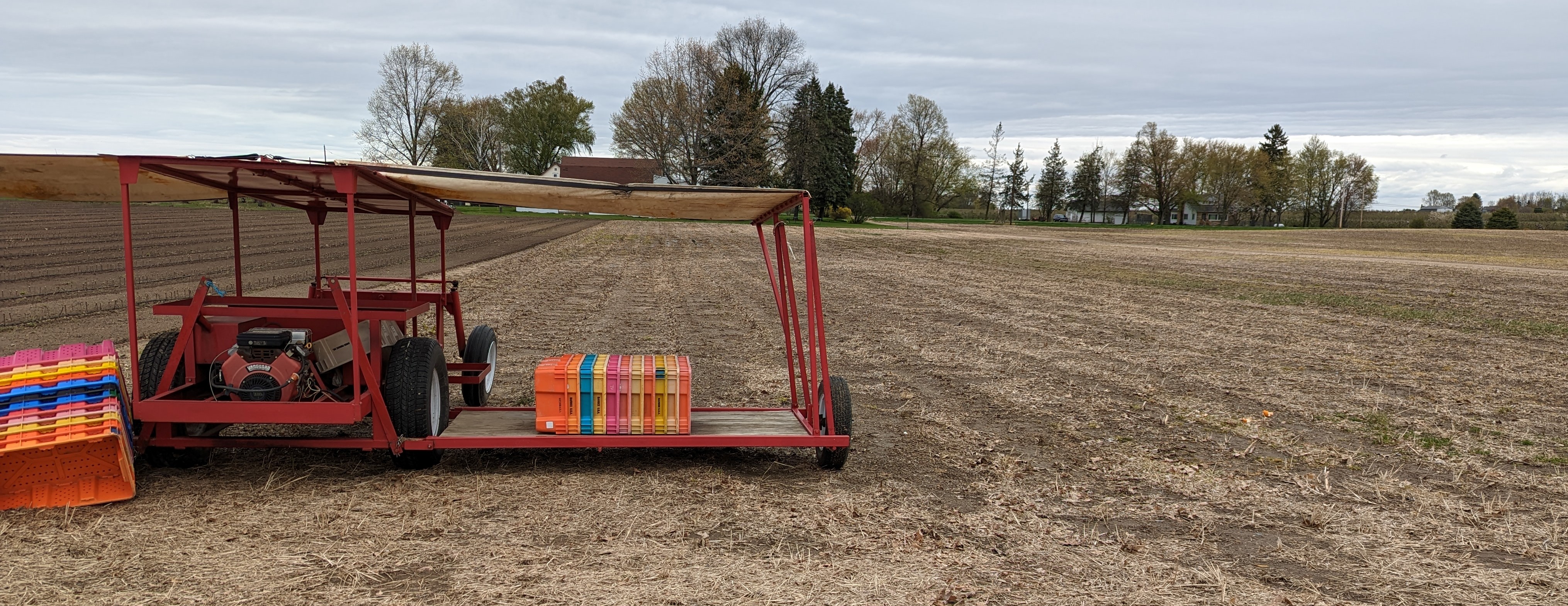 Asparagus cart in an asparagus field.